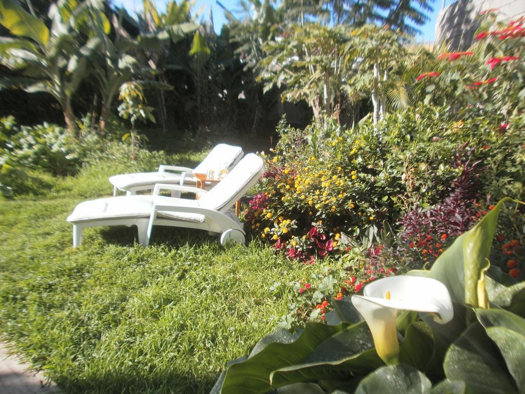 Finca Las Palmeras Icod De Los Vinos Zimmer foto